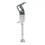 ROBOT-COUPE - Mixeur plongeant MP800 TURBO TP