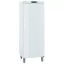 LIEBHERR - Déclassé - Armoire froide négative ventilée 547 L blanche