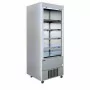 TEFCOLD - Vitrine réfrigérée inox ventilée 370 L