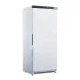 AFI - Armoire négative statique blanche 1 porte 600 L