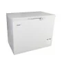 ELCOLD - Coffre abattant 105 cm 323 L plein