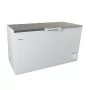 ELCOLD - Coffre abattant inox 150 cm 491 L