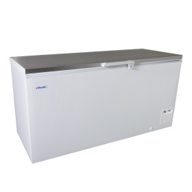 ELCOLD - Coffre abattant inox 170 cm 566 L