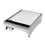TECNOX - Plancha posable 2 foyers gamme Design 2,8 kW