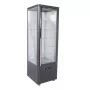 TECFRIGO - Vitrine verticale SNELLE positive ventilée 360 L tablettes en verre