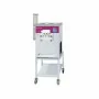 FURNOTEL - Machine à glace 3 Becs 3 Parfums 13,5 litres / heure