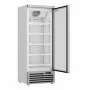 COMBISTEEL - Armoire froide négative 1 porte en verre blanche 600 L