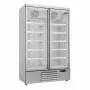 COMBISTEEL - Armoire froide négative 2 portes en verre blanche 1000 L
