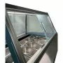 COMBISTEEL - Vitrine à crème glacée Borneo 12x5 L