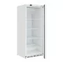 POLAR - Armoire réfrigérée positive porte pleine Série C blanche 600L