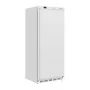 POLAR - Armoire réfrigérée positive porte pleine Série C blanche 600L