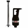 DIAMOND - Déclassé - Mixer plongeant 100 L tube 400 mm + variateur de vitesses