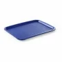 L2G - Plateau bleu polypropylène L. 415 mm P. 305 mm