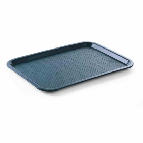 L2G - Plateau vert polypropylène L. 415 mm P. 305 mm