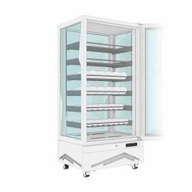 TECFRIGO - Vitrine réfrigérée verticale MARILYN 451 WINE LINEAR L. 702 mm
