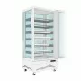 TECFRIGO - Vitrine réfrigérée verticale MARILYN 651 WINE LINEAR L. 902 mm