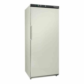 DYNASTEEL - Armoire de congélation inox ventilée 600 L - intérieur ABS