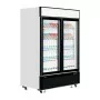 TEFCOLD - Vitrine murale positive 2 portes vitrées 1108 L