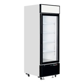 TEFCOLD - Vitrine murale positive 1 porte vitrée 496 L