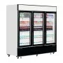 TEFCOLD - Vitrine murale positive 3 portes vitrées 2025 L