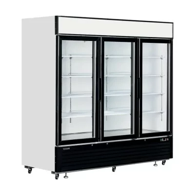 TEFCOLD - Vitrine murale positive 3 portes vitrées 2025 L