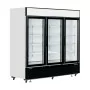 TEFCOLD - Vitrine murale positive 3 portes vitrées 2025 L