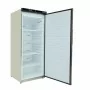 SERIAPRO - Armoire de congélation inox ventilée 600 L - intérieur ABS