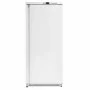 SERIAPRO - Armoire réfrigérée positive blanche 600 L