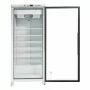SERIAPRO - Armoire réfrigérée négative vitrée - 600 L