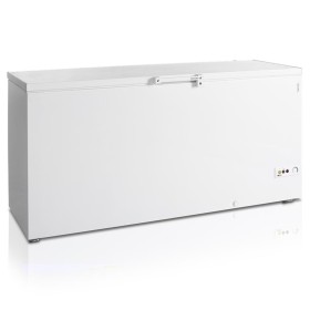 TEFCOLD - Congélateur de crème glacée 557 L blanc