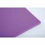 HYGIPLAS - Planche à découper standard basse densité violette