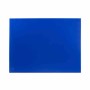 HYGIPLAS - Grande planche à découper haute densité bleue