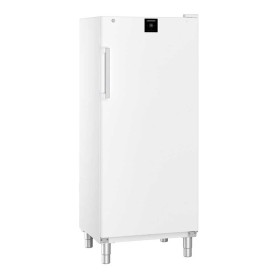 LIEBHERR - Armoire froide positive pleine époxy blanc GN 2/1 571 L