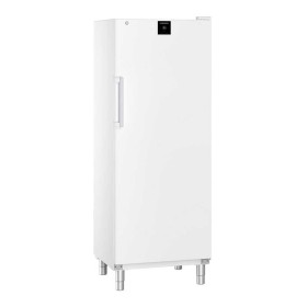 LIEBHERR - Armoire froide positive pleine époxy blanc GN 2/1 655 L