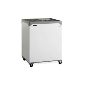 TEFCOLD - Congélateur de crème glacée 186 L couvercles plats