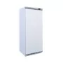 CUISTANCE - Armoire froide négative ABS 1 porte 600 L