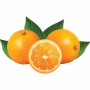 DIAMOND - Presse oranges automatique -20/25 oranges