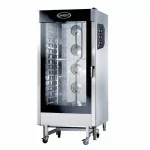 Four À Convection Professionnel